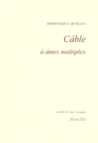 Câble à âmes multiples