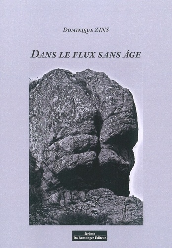 Dominique Zins - Dans le flux sans âge.