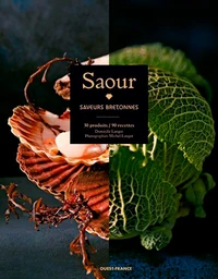 Saour