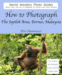 How to Photograph The Sepilok Area, Borneo, Malaysia