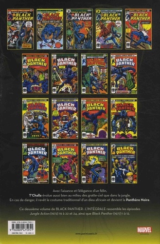 Black Panther L'intégrale 1976-1978