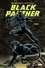 Black Panther L'intégrale 1989