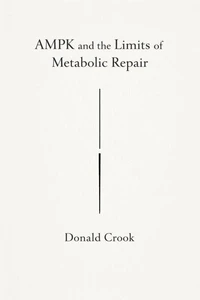 AMPK and the Limits of Metabolic Repair