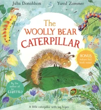 The Woolly Bear Caterpillar