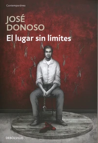 El lugar sin limites