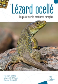 Le lézard ocellé