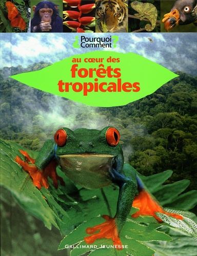  Dorling Kindersley - Au coeur des forêts tropicales.
