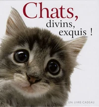 Chats, divins, exquis !