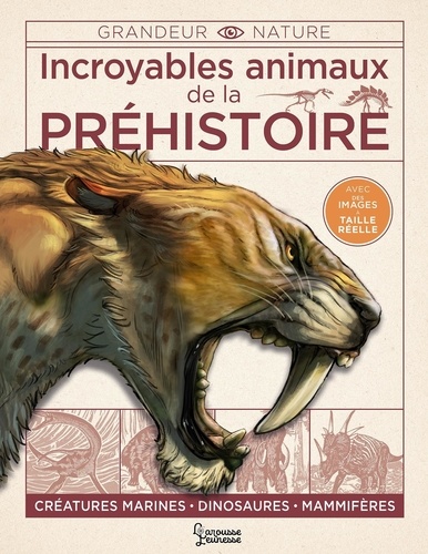 Incroyables animaux de la préhistoire. Créatures marines, dinosaures, mammifères