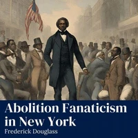 Abolition Fanaticism in New York