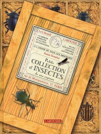 Petite collection d'insectes de nos régions