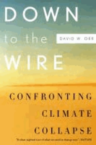 Down to the Wire - Confronting Climate Collapse.