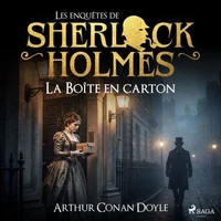 La Boîte en carton