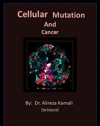 Cellular Mutations and Cancer