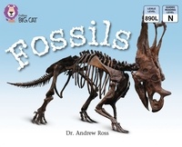 Dr Andrew Ross - Fossils - Band 10/White.