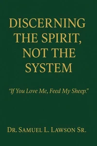 Discerning The Spirit, Not the System