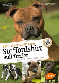 Savoir vivre avec mon Staffordshire Bull Terrier