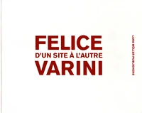 Felice Varini