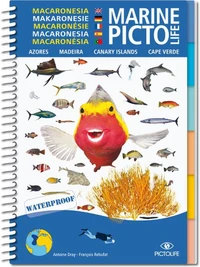 Macaronesian marine pictolife