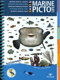 Marine Pictolife