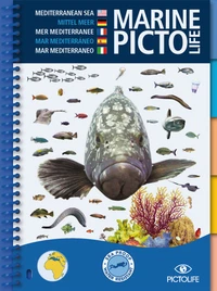 Marine Pictolife