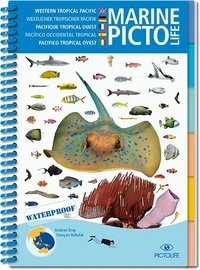 Marine Pictolife