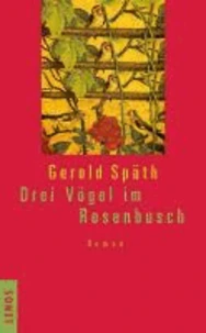 Drei Vögel im Rosenbusch