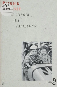 Le miroir aux papillons
