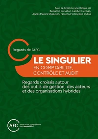Le singulier en comptabilité, contrôle et audit