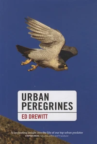 Urban Peregrines