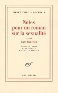 Notes pour un roman sur la sexualité