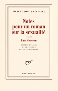 Notes pour un roman sur la sexualité