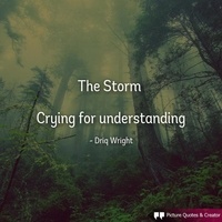  Driq Wright - The Storm.