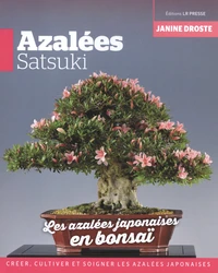 Azalées satsuki bonsaï