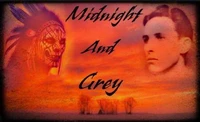 Midnight and Grey