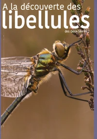 A la découverte des libellules des Deux-Sèvres