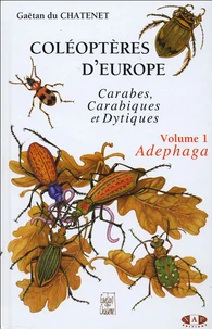 Coléoptères d'Europe