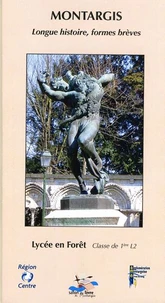Montargis - Longue histoire, formes brèves