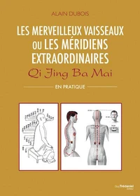 Les merveilleux vaisseaux ou les méridiens extraordinaires