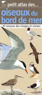 Petit atlas des oiseaux du bord de mer