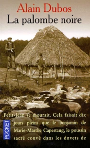 La palombe noire