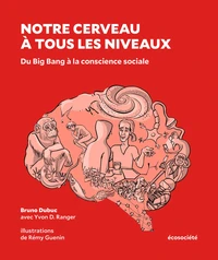 Notre cerveau à tous les niveaux