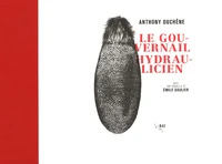 Le gouvernail hydraulicien