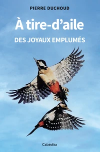 A tire-d'aile