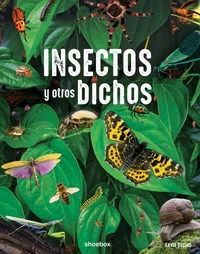 Insectos y otros bichos
