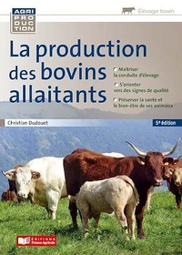 La production des bovins allaitants