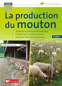 La production du mouton