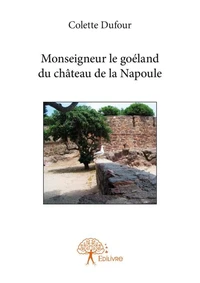 Monseigneur le goéland du château de la Napoule