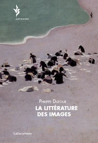 La littérature des images