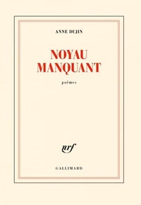 Noyau manquant
